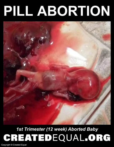 Pill Abortion Victim Sign