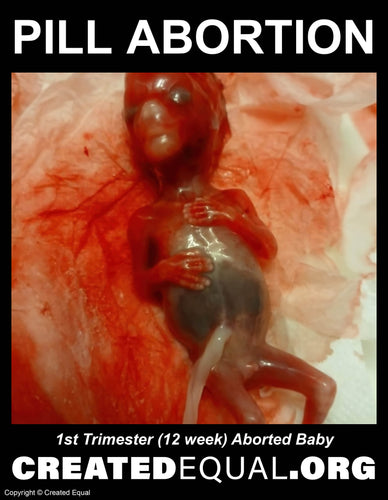 Pill Abortion Victim Sign