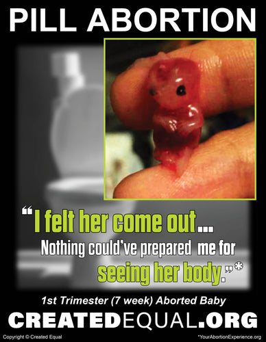 Pill Abortion Victim Sign