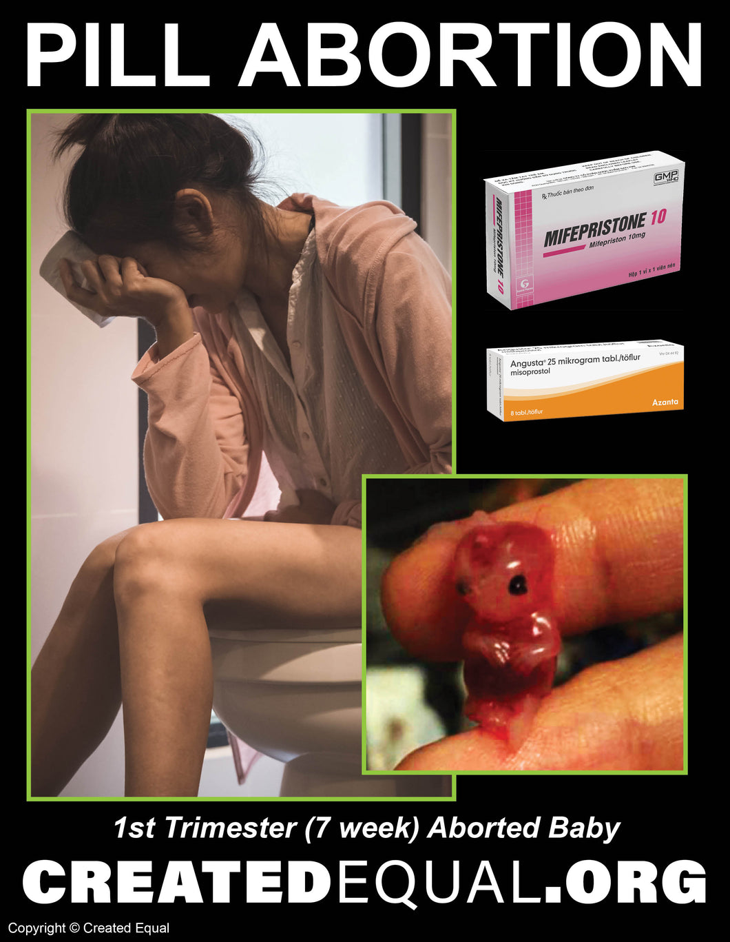 Pill Abortion Victim Sign