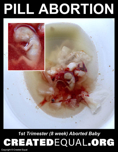 Pill Abortion Victim Sign