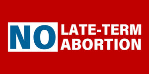 4x8 Banner -- NO LATE-TERM ABORTION