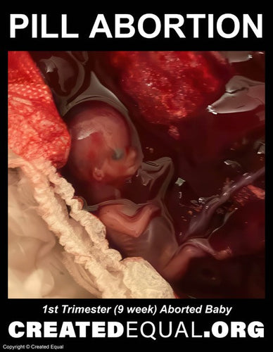 Pill Abortion Victim Sign