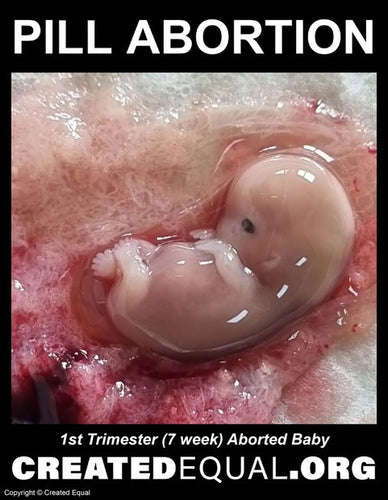 Pill Abortion Victim Sign