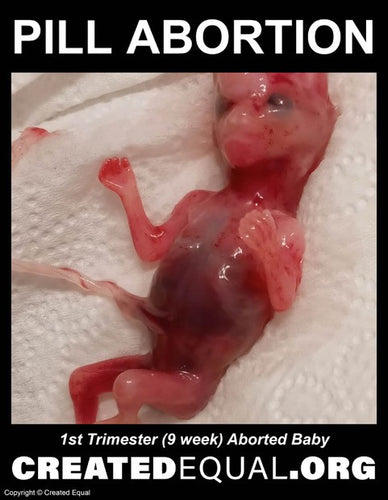 Pill Abortion Victim Sign
