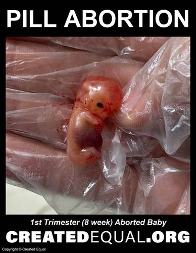 Pill Abortion Victim Sign