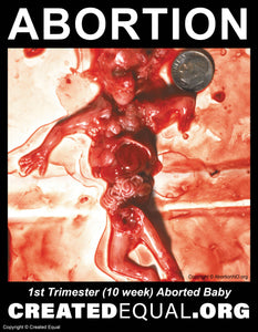 Abortion Victim Sign