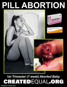 Pill Abortion Victim Sign