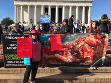 4x8 Banner -- Abortion Victim